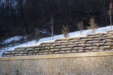 Pavoni Legnami